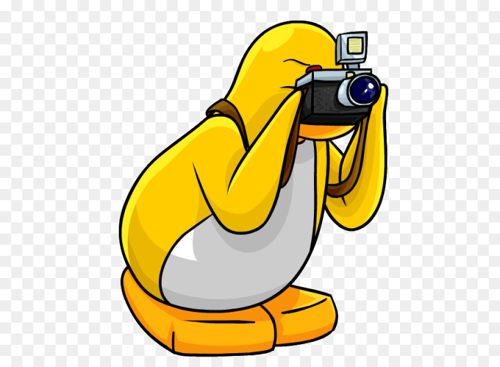 Free: Penguin, Club Penguin, Photographer, Cartoon, Yellow PNG 